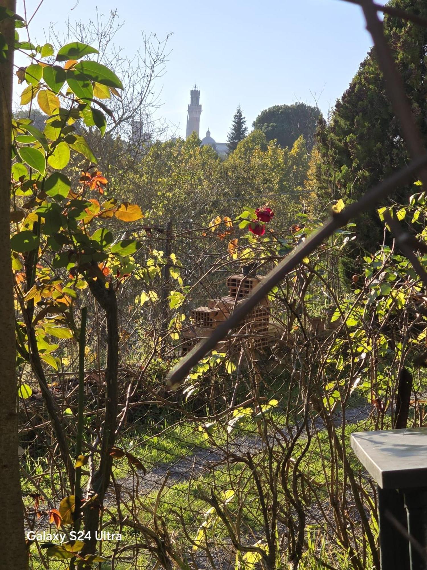 Podere Ponticini Siena Exterior foto